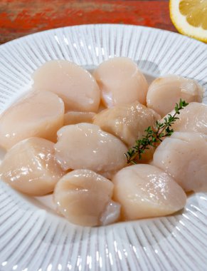 Atlantik körfezi deniz tarakları temizledi. St. James deniz kabukları tabakta. Normandiya ya da Britanya 'da günün avı.