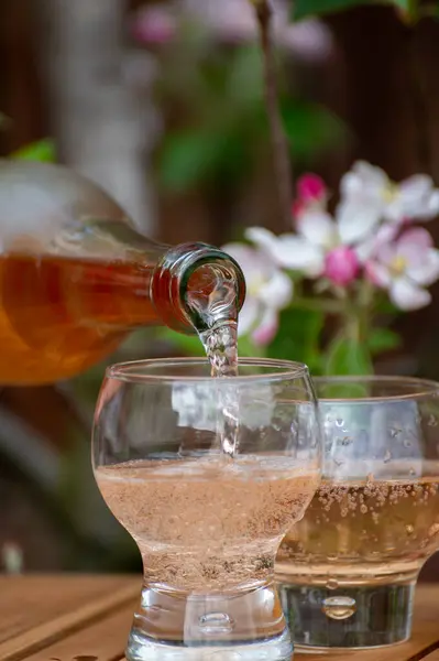 stock image Pouring of cold brut apple cider from Normandy in glass, France and blossom of apple tree in garden on background on sunny spring day