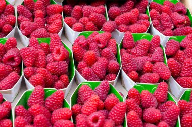 Taze organik meyve olgun kırmızı ahududu karton kutularda yerel çiftçi pazarında Biarritz, Fransa 'da yeni hasat