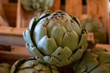 Yeni taze taze taze organik enginar hasadı Dordogne, Fransa 'daki yerel çiftçi pazarında.