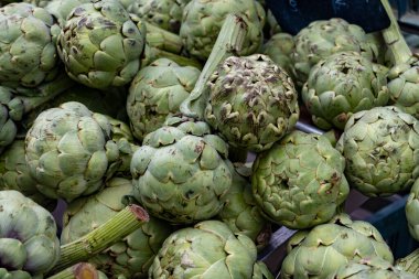 Yeni taze taze taze organik enginar hasadı Dordogne, Fransa 'daki yerel çiftçi pazarında.