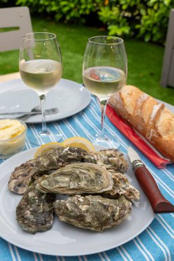 Fransa 'nın Gujan-Mestras limanındaki Arcachon körfezi istiridye çiftliği köyündeki restoranda taze çiğ istiridye kabukları, ekmek, tereyağı ve beyaz şarapla servis edilen tabaklar.