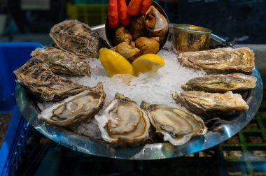 Arcachon körfezi, Gujan-Mestras, Bordeaux, Fransa 'daki istiridye çiftliği köyünden öğle yemeği için pazar salonunda buzlu taze canlı istiridye tabağı.