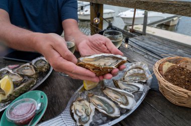 Güneşli bir günde, Arcachon Bassin, Gujan-Mestras limanı, Bordeaux, Fransa 'da, istiridye sayısı 0 olan istiridye çiftçilik köyündeki açık hava kafesinde taze canlı istiridye ve ekmek yemek..