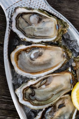 Fransa 'nın Gujan-Mestras limanındaki Arcachon körfezi istiridye çiftliği köyündeki restoranda taze çiğ istiridye, deniz kabuğu, liman, ekmek, tereyağı ve beyaz şarapla servis edilen tabaklar.