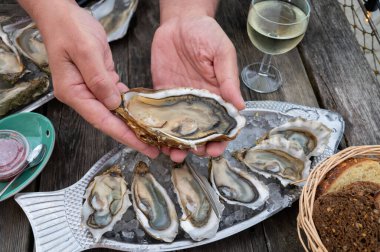 Güneşli bir günde, Arcachon Bassin, Gujan-Mestras limanı, Bordeaux, Fransa 'da, istiridye sayısı 0 olan istiridye çiftçilik köyündeki açık hava kafesinde taze canlı istiridye ve ekmek yemek..