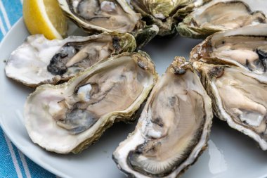 Fransa 'nın Gujan-Mestras limanındaki Arcachon körfezi istiridye çiftliği köyündeki restoranda taze çiğ istiridye kabukları, ekmek, tereyağı ve beyaz şarapla servis edilen tabaklar.