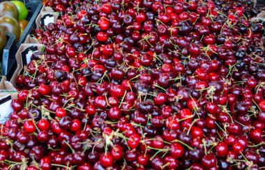 Olgun kırmızı kirazlı yaz meyvelerinin yeni sezonu, Dordogne, Fransa 'da çiftçi pazarında satılık kiraz.