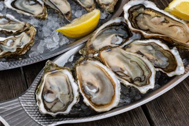 Fransa 'nın Gujan-Mestras limanındaki Arcachon körfezi istiridye çiftliği köyündeki restoranda taze çiğ istiridye, deniz kabuğu, liman, ekmek, tereyağı ve beyaz şarapla servis edilen tabaklar.