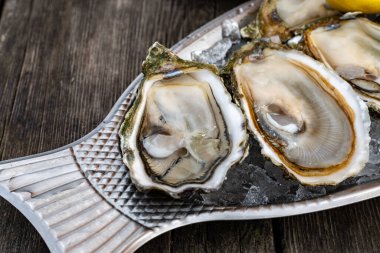 Fransa 'nın Gujan-Mestras limanındaki Arcachon körfezi istiridye çiftliği köyündeki restoranda taze çiğ istiridye, deniz kabuğu, liman, ekmek, tereyağı ve beyaz şarapla servis edilen tabaklar.