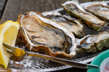 Güneşli bir günde, Arcachon Bassin, Gujan-Mestras limanı, Bordeaux, Fransa 'da, istiridye sayısı 0 olan istiridye çiftçilik köyündeki açık hava kafesinde taze canlı istiridye ve ekmek yemek..