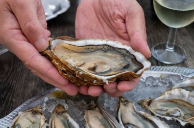 Güneşli bir günde, Arcachon Bassin, Gujan-Mestras limanı, Bordeaux, Fransa 'da, istiridye sayısı 0 olan istiridye çiftçilik köyündeki açık hava kafesinde taze canlı istiridye ve ekmek yemek..