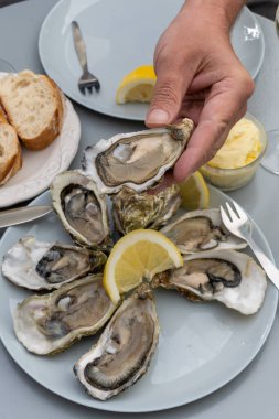 Fransa 'nın Gujan-Mestras limanındaki Arcachon körfezi istiridye çiftliği köyündeki restoranda taze çiğ istiridye, deniz kabuğu, liman, ekmek, tereyağı ve beyaz şarapla servis edilen el.