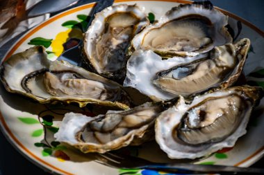 Fransa 'nın Gujan-Mestras limanındaki Arcachon körfezi istiridye çiftliği köyündeki restoranda taze çiğ istiridye kabukları, ekmek, tereyağı ve beyaz şarapla servis edilen tabaklar.