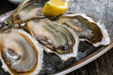 Fransa 'nın Gujan-Mestras limanındaki Arcachon körfezi istiridye çiftliği köyündeki restoranda taze çiğ istiridye, deniz kabuğu, liman, ekmek, tereyağı ve beyaz şarapla servis edilen tabaklar.