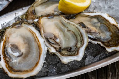 Fransa 'nın Gujan-Mestras limanındaki Arcachon körfezi istiridye çiftliği köyündeki restoranda taze çiğ istiridye, deniz kabuğu, liman, ekmek, tereyağı ve beyaz şarapla servis edilen tabaklar.