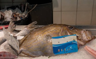 En lezzetli balık John Dory, St Pierre ya da Peter 'ın buzdaki balığı, balık pazarında günün avı, Bask Ülkesi, Fransa, kapatın.