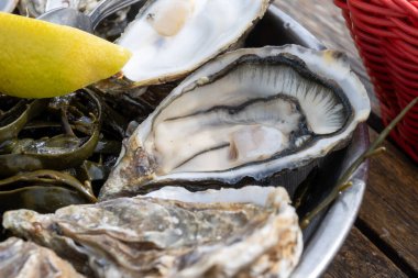 Fransa 'nın Gujan-Mestras limanındaki Arcachon körfezi istiridye çiftliği köyündeki restoranda taze çiğ istiridye, deniz kabuğu, liman, ekmek, tereyağı ve beyaz şarapla servis edilen tabaklar.