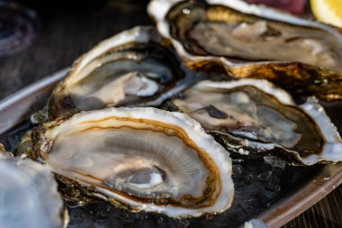 Fransa 'nın Gujan-Mestras limanındaki Arcachon körfezi istiridye çiftliği köyündeki restoranda taze çiğ istiridye kabukları, ekmek, tereyağı ve beyaz şarapla servis edilen tabaklar.