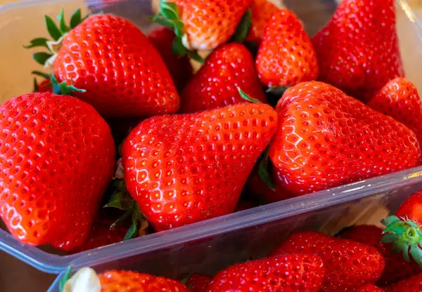 Stock image Boxes with french sweet organic red ripe strawberries Fraises, harvested in France on local farmers market