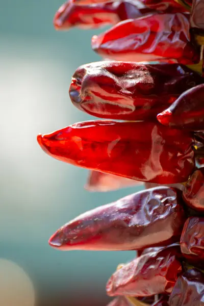 stock image Piment d'Espelette, dried red hot chili peppers from Espelette village in Basque Country in mountains, France, condiment, french spice