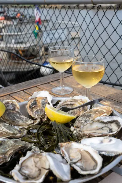 Fransa 'nın Gujan-Mestras limanı, Arcachon körfezindeki eski istiridye çiftliklerinin manzaralı, istiridye çiftliği olan istiridye çiftliği köyündeki çiftlik kafesinde taze çiğ istiridye yemek.