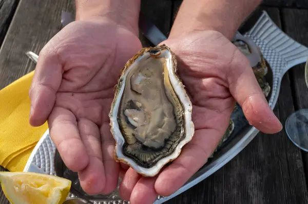 stock image Eating of fresh live oysters with citron and bread at outdoor farm cafe in oyster-farming village, Arcachon bassin, Gujan-Mestras port, Bordeaux, France in sunny day, huge oyster number 0.