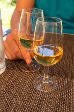 Sauternes 'de Bordeaux şarabı tatmak, Gironde Estuary, Fransa' nın sol kıyısında. Lokantada öğle yemeğinde servis edilen beyaz tatlı Fransız şarabı.