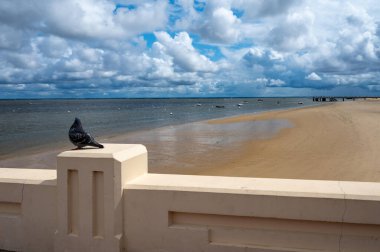 Güneşli Arcachon 'da kumsalda yürümek, Atlantik kıyısındaki tatil beldesi güzel parklar, villalar, sokaklar ve kumlu plajlar ve çam ağaçları, Fransa