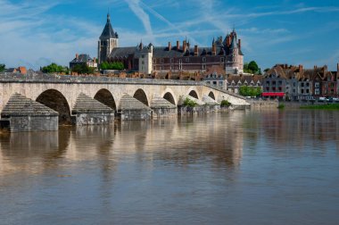 Loire nehri kıyısındaki Gien kasabasının eski bir kısmının manzarası, Loiret departmanı, Fransa, kiremit çatılı evler ve bacalar, kale ve köprü.