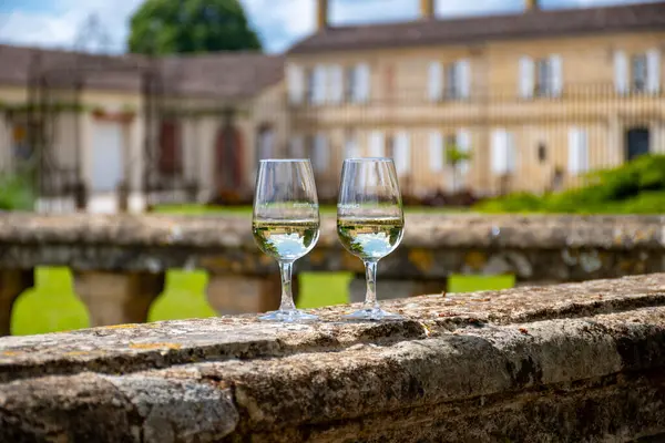 stock image Tasing glasses of white wine in old wine domain on Sauternes vineyards in Barsac village and old castle on background, Bordeaux, France