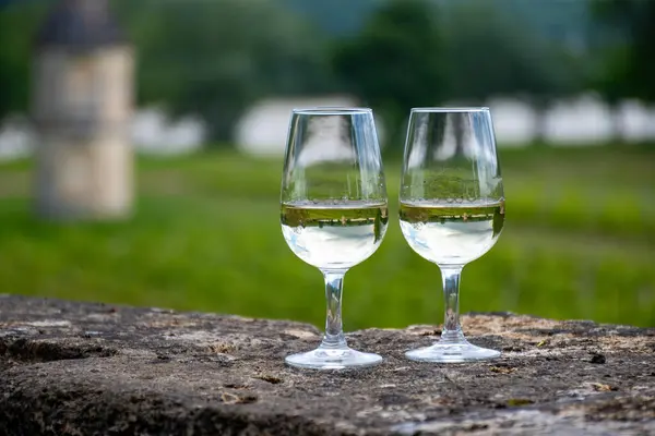 stock image Tasing glasses of white wine in old wine domain on Sauternes vineyards in Barsac village and old castle on background, Bordeaux, France
