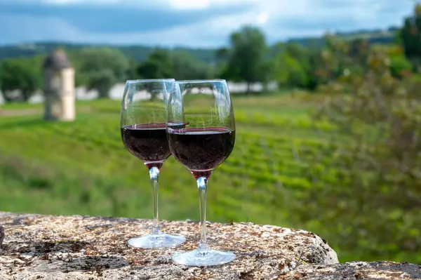 Stock image Glasses of french dry red wine in old wine domain on Graves vineyards in Portets village and old wine making castle on background, Bordeaux, France