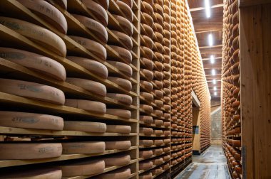 Peynir mağaralarında rafları olan yaşlanan odalar, tekerleklerin yaşlanmasının merkezi konumu, dört aydan birkaç yıla kadar ham inek sütünden yapılan Comte peyniri turları, Jura, Fransa