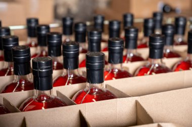 Storage of bottles of cognac spirit aged in French oak barrels for sale in shop in distillery house, Cognac white wine region, Charente, Segonzac, Grand Champagne, France clipart