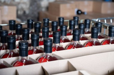 Fransız meşe fıçılarında yıllanmış konyak şişelerinin depolandığı depo içki imalathanesi, konyak beyaz şarap bölgesi, Charente, Segonzac, Grand Champagne, Fransa