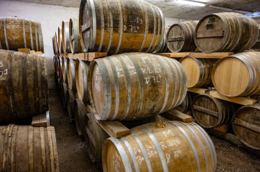 Eski koyu Fransız meşe fıçılarındaki yaşlı konyak ruhları damıtma evindeki soğuk mahzenlerde konyak, beyaz şarap bölgesi Charente, Segonzac, Grand Champagne, Fransa