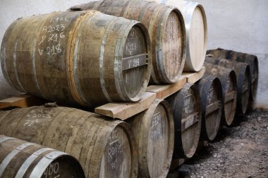 Eski koyu Fransız meşe fıçılarındaki yaşlı konyak ruhları damıtma evindeki soğuk mahzenlerde konyak, beyaz şarap bölgesi Charente, Segonzac, Grand Champagne, Fransa