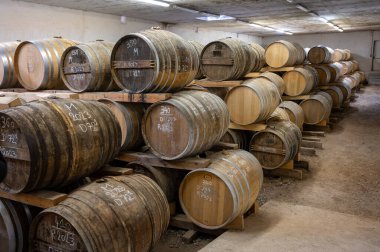 Eski koyu Fransız meşe fıçılarındaki yaşlı konyak ruhları damıtma evindeki soğuk mahzenlerde konyak, beyaz şarap bölgesi Charente, Segonzac, Grand Champagne, Fransa