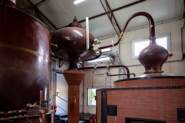Charentias 'taki konyak ruhlarının çifte damıtma işlemi. Bakır alambik hala eski bir içki imalathanesinde, Charente, Segonzac, Grand Champagne, Fransa
