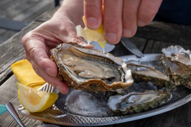 Güneşli bir günde, Arcachon Bassin, Gujan-Mestras limanı, Bordeaux, Fransa 'da, istiridye sayısı 0 olan istiridye çiftçilik köyündeki açık hava kafesinde taze canlı istiridye ve ekmek yemek..