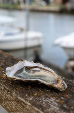 Eating of fresh live oysters with citron and bread at outdoor farm cafe in oyster-farming village, with view on boats and water of Arcachon bay, Gujan-Mestras port, Bordeaux, France in sunny day clipart