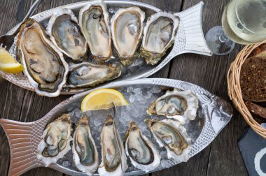 Güneşli bir günde, Arcachon Bassin, Gujan-Mestras limanı, Bordeaux, Fransa 'da, istiridye sayısı 0 olan istiridye çiftçilik köyündeki açık hava kafesinde taze canlı istiridye ve ekmek yemek..