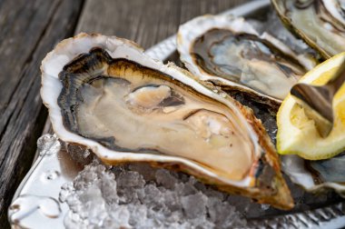 Güneşli bir günde, Arcachon Bassin, Gujan-Mestras limanı, Bordeaux, Fransa 'da, istiridye sayısı 0 olan istiridye çiftçilik köyündeki açık hava kafesinde taze canlı istiridye ve ekmek yemek..