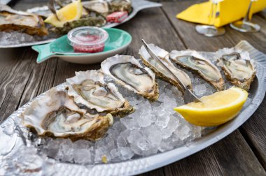 Güneşli bir günde, Arcachon Bassin, Gujan-Mestras limanı, Bordeaux, Fransa 'da, istiridye sayısı 0 olan istiridye çiftçilik köyündeki açık hava kafesinde taze canlı istiridye ve ekmek yemek..