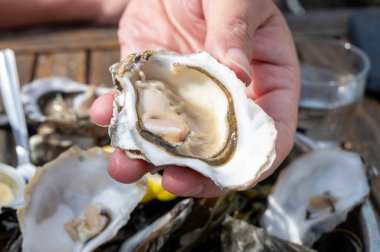 Güneşli bir günde Fransa 'nın Bordeaux şehrinde Arcachon Bassin, Gujan-Mestras limanı, Arcachon Bassin, açık hava çiftlik köyünde taze canlı istiridye, ekmek ve beyaz şarap yemek.