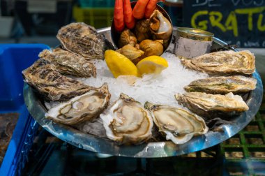 Arcachon körfezi, Gujan-Mestras, Bordeaux, Fransa 'daki istiridye çiftliği köyünden öğle yemeği için pazar salonunda buzlu taze canlı istiridye tabağı.