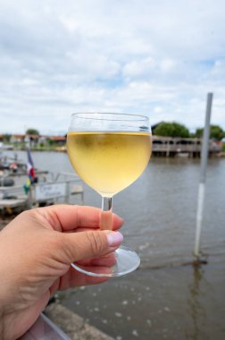 Bordeaux şarabı tatmak, Fransa. Açık hava restoranında bir bardak beyaz Fransız şarabı, Gujan-Mestras 'ta istiridye çiftliği, Arcachon körfezi.