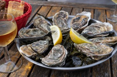 Güneşli bir günde Fransa 'nın Bordeaux şehrinde Arcachon Bassin, Gujan-Mestras limanı, Arcachon Bassin, açık hava çiftlik köyünde taze canlı istiridye, ekmek ve beyaz şarap yemek.