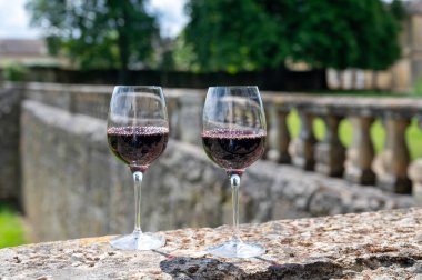 Portets köyündeki Graves üzüm bağlarındaki eski şarap sahasında Fransız şarabı ve arka planda şarap yapan eski şaraplar, Bordeaux, Fransa